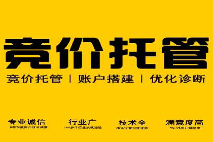 SEM推广公司成功案例：助力企业实现品牌多元化发展